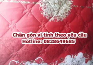 Sản phẩm chan gon vi tinh theo yeu cau 1747200552.jpg — Công Ty TNHH May Mặc Minh Đăng — MST 3603279692