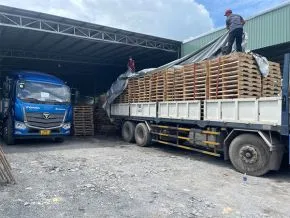 Sản phẩm pallet go 36 21458324 — Pallet Gỗ Phương Phương Linh - Công Ty TNHH MTV Phương Phương Linh — MST 3603290008