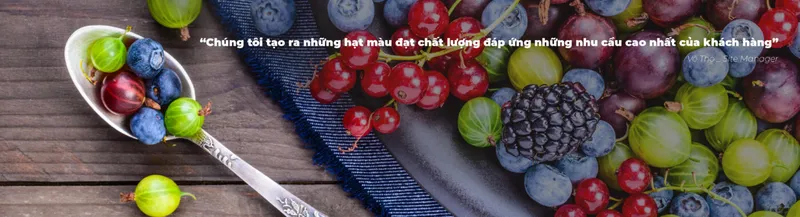 Sản phẩm 4 02 copy@2x 100 1400x379 — Hạt Nhựa Masterbatch - Văn Phòng Đại Diện Công Ty Trách Nhiệm Hữu Hạn
Masterbatch (Việt Nam) — MST 3603303747