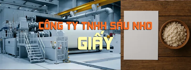 Sản phẩm bnsaunho 10 — Công Ty TNHH Sáu Nho — MST 3603304451