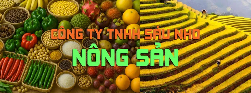 Sản phẩm bnsaunho3 2 — Công Ty TNHH Sáu Nho — MST 3603304451
