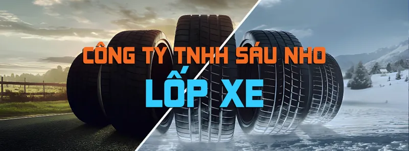 Sản phẩm bnsaunho6 — Công Ty TNHH Sáu Nho — MST 3603304451