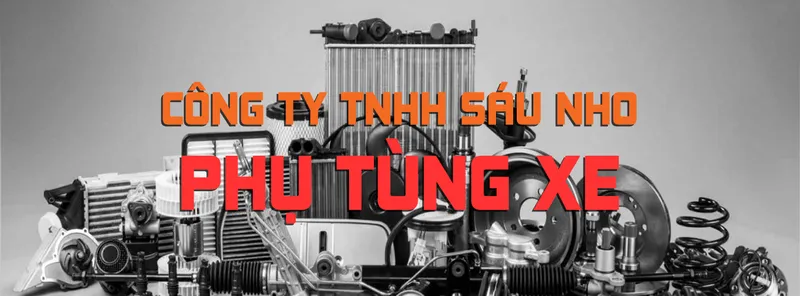 Sản phẩm bnsaunho7 — Công Ty TNHH Sáu Nho — MST 3603304451