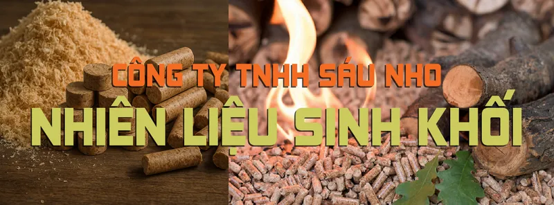 Sản phẩm bnsaunho8 — Công Ty TNHH Sáu Nho — MST 3603304451
