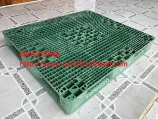 Sản phẩm pallet nhua 1200x1000150mm thumb — Pallet Tấn Thành - Công Ty TNHH MTV Pallet Nhựa - Gỗ Tấn Thành — MST 3603311071