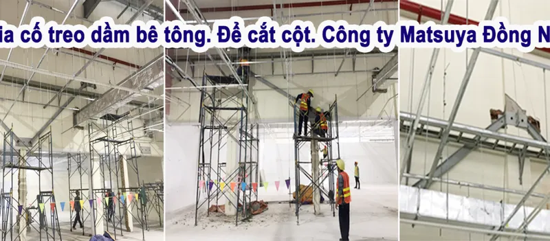 Sản phẩm 55211387649979001366x471 84711 — Xây Dựng Trúc Tâm Hưng - Công Ty TNHH Xây Dựng Trúc Tâm Hưng — MST 3603325317