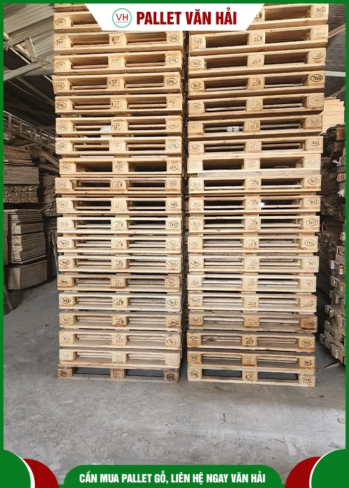 Sản phẩm pallet go 8 — Chi Nhánh Long An - Công Ty TNHH Một Thành Viên Pallet Văn Hải — MST 3603326303