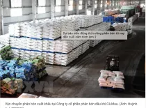 Sản phẩm gia phan bon hom nay 1078 — Phân Bón Điền Gia - Công Ty TNHH Phân Bón Điền Gia — MST 3603360720