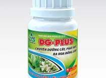 Sản phẩm hoa lan 9279 — Phân Bón Điền Gia - Công Ty TNHH Phân Bón Điền Gia — MST 3603360720