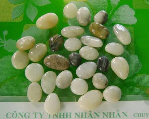 Sản phẩm soi trang tri dep — Vật Liệu Lọc Nước Nhân Nhân - Công Ty TNHH Nhân Nhân — MST 3603370334