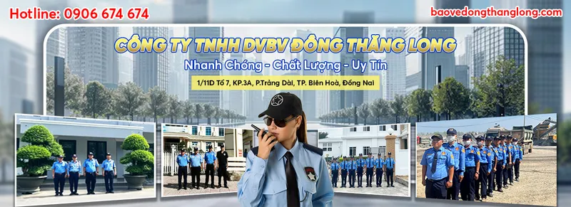 Sản phẩm 950506 — Công Ty TNHH Dịch Vụ Bảo Vệ Đông Thăng Long — MST 3603378887