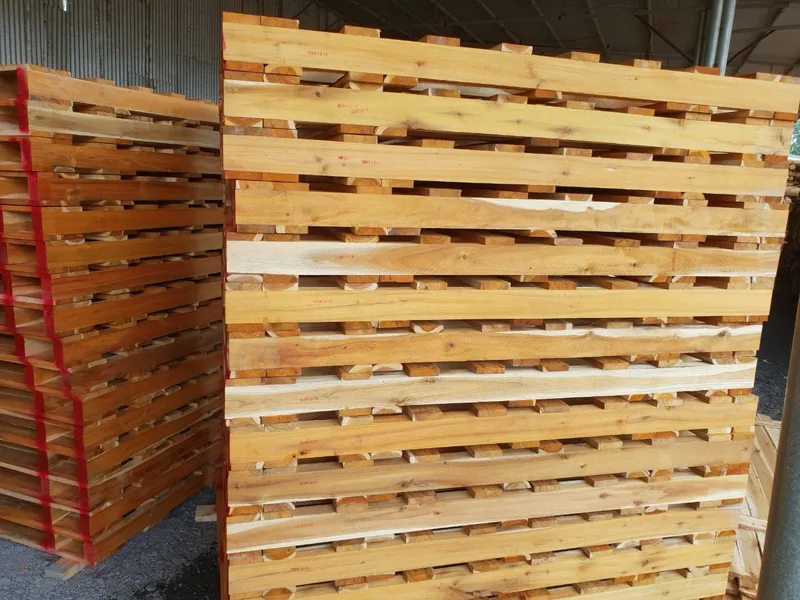 Sản phẩm 1600x1600x120mm — Pallet 24H - Công Ty TNHH Sản Xuất Thương Mại Dịch Vụ Pallet 24H — MST 3603385186