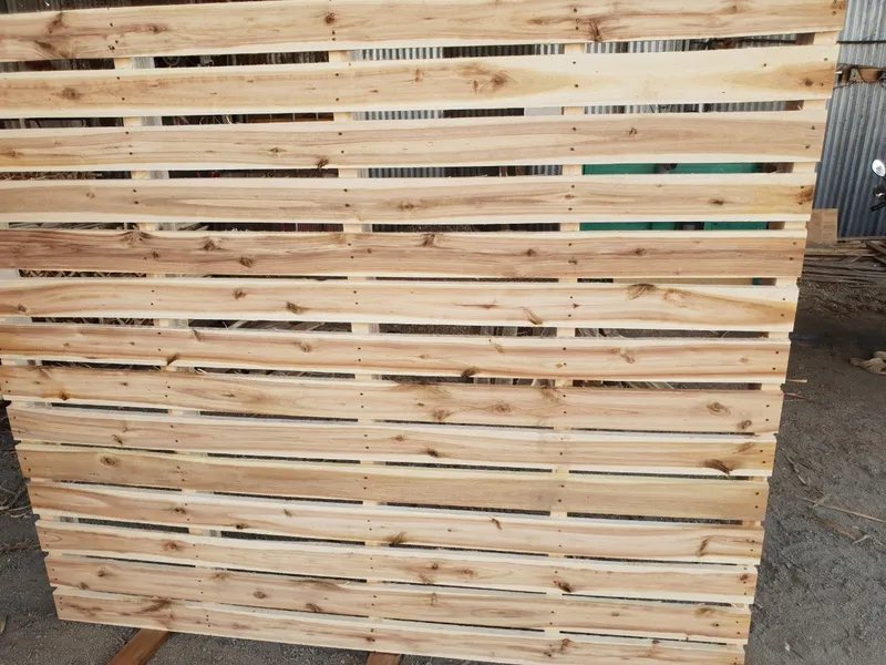 Sản phẩm 1600x1900x130mm1 — Pallet 24H - Công Ty TNHH Sản Xuất Thương Mại Dịch Vụ Pallet 24H — MST 3603385186