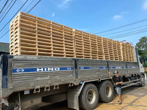 Sản phẩm 5 — Pallet 24H - Công Ty TNHH Sản Xuất Thương Mại Dịch Vụ Pallet 24H — MST 3603385186