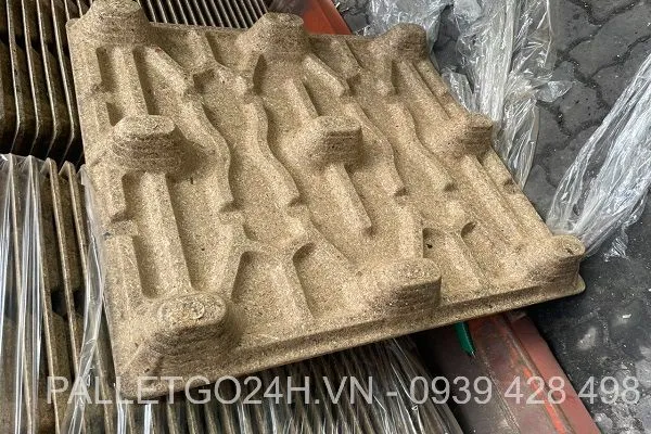 Sản phẩm z4083113133478_c095b48eb15ab7b52f02c063b91d69ba — Pallet 24H - Công Ty TNHH Sản Xuất Thương Mại Dịch Vụ Pallet 24H — MST 3603385186