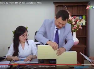 Sản phẩm screenshot (5)4258_300x220 — Công Ty Trách Nhiệm Hữu Hạn Thương Mại Sản Xuất Tôn Cách Nhiệt MICO — MST 3603386704