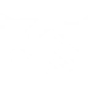 Sản phẩm handshake 300x300 — Công Ty TNHH Dụng Cụ Cơ Khí Và Y Tế VPIC Việt Phát — MST 3603391655