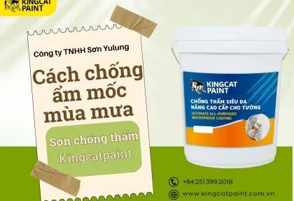 Sản phẩm cach chong am moc mua mua 2 1755504665 — King Cat Paint - Công Ty TNHH YuLung Paint Manufacturing (Việt Nam) — MST 3603395106