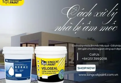 Sản phẩm cach xu ly nha bi am moc hieu qua giai phap don gian cho khong gian song sach dep 1751341309 — King Cat Paint - Công Ty TNHH YuLung Paint Manufacturing (Việt Nam) — MST 3603395106