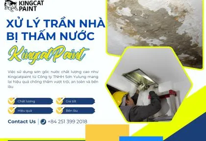 Sản phẩm cach xu ly tran nha bi dot 1 1755224213 — King Cat Paint - Công Ty TNHH YuLung Paint Manufacturing (Việt Nam) — MST 3603395106