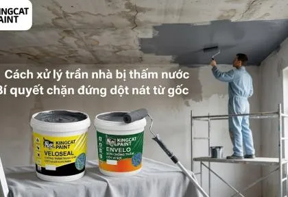 Sản phẩm cach xu ly tran nha bi tham nuoc triet de bi quyet chan dung dot nat tu goc 1781089646 — King Cat Paint - Công Ty TNHH YuLung Paint Manufacturing (Việt Nam) — MST 3603395106