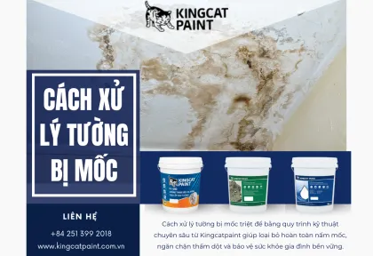 Sản phẩm cach xu ly tuong bi am moc 1769066951 — King Cat Paint - Công Ty TNHH YuLung Paint Manufacturing (Việt Nam) — MST 3603395106