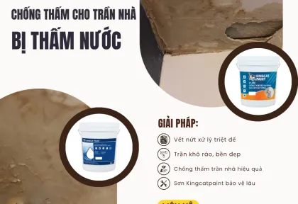 Sản phẩm chong tham tran nha bi tham nuoc 1763629365 — King Cat Paint - Công Ty TNHH YuLung Paint Manufacturing (Việt Nam) — MST 3603395106