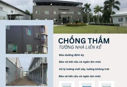 Sản phẩm chong tham tuong nha lien ke 2 1762161791 — King Cat Paint - Công Ty TNHH YuLung Paint Manufacturing (Việt Nam) — MST 3603395106