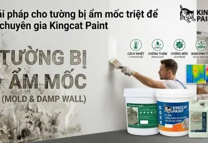 Sản phẩm giai phap cho tuong bi am moc triet de tu chuyen gia kingcat paint 1776745717 — King Cat Paint - Công Ty TNHH YuLung Paint Manufacturing (Việt Nam) — MST 3603395106