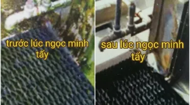 Sản phẩm img1474774792140_1474774874 — Công ty TNHH Đầu Tư Thương Mại Dịch Vụ Ngọc Minh — MST 3603397625