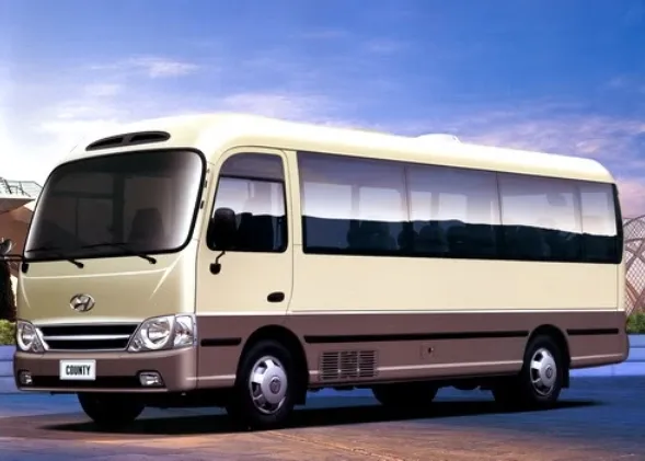 Sản phẩm hai (4) — Chi Nhánh HCM - Công Ty TNHH Vận Tải Và Du Lịch Nguyễn Anh Tuấn — MST 3603404079