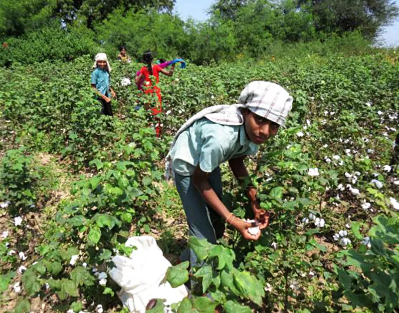 Sản phẩm g2 — Sợi Nhật Quang - Công Ty TNHH Sợi Nhật Quang — MST 3603419396