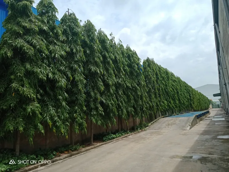 Sản phẩm z3566879171257_348f77b1d13c8c3407c5323efc0b9887_20220721100123 — Sợi Nhật Quang - Công Ty TNHH Sợi Nhật Quang — MST 3603419396
