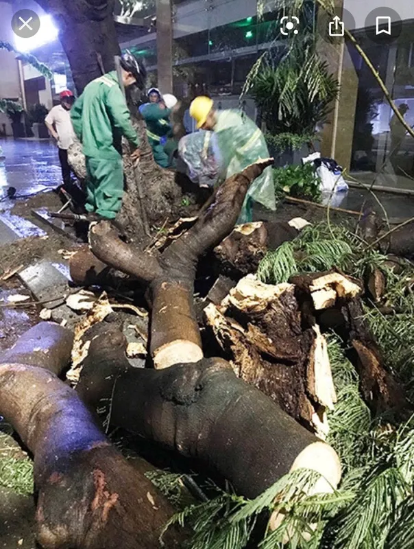 Sản phẩm cat 1 — Công Ty TNHH Thiết Kế Xây Dựng Thanh Chương — MST 3603443913