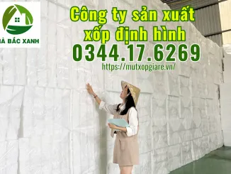 Văn phòng Công Ty TNHH Cách Nhiệt Hà Bắc #16 — MST 3603451953