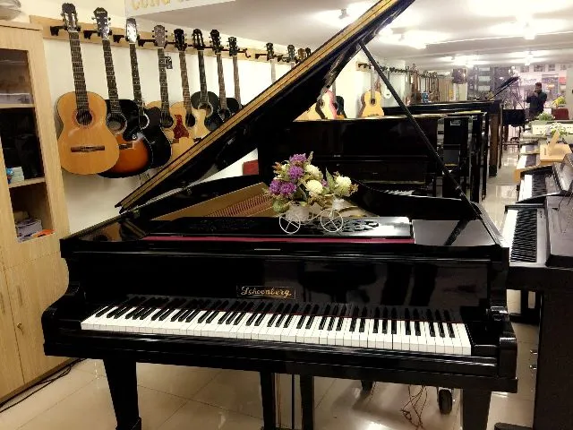 Sản phẩm piano grand 1485138787 1802286 1485138787 — Công Ty TNHH Giáo Dục Và Dịch Vụ Thương Mại Thiên Ân — MST 3603454351