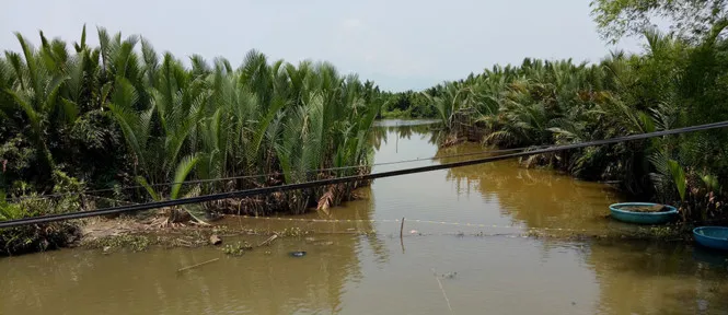 Sản phẩm tintuc2 — Công Ty TNHH Bao Bì Đóng Gói Tân Việt Phát — MST 3603456447