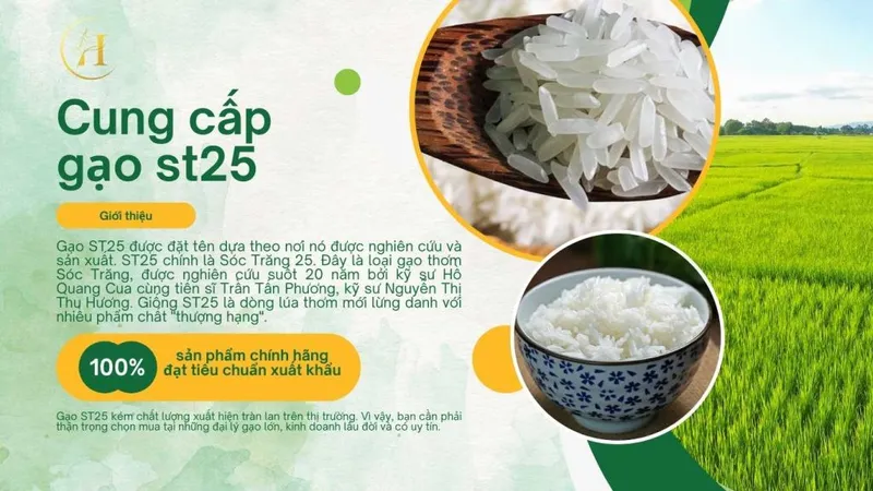 Sản phẩm 3 2 1024x576 — Bao Bố Cũ Chen Hao - Công Ty TNHH Chen Hao — MST 3603464776