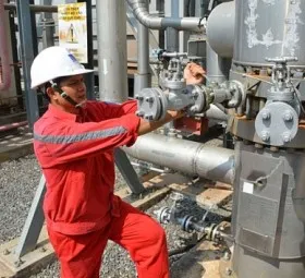 Sản phẩm dien luc dau khi nhon trach canh chim dau dan1507038639 — Công Ty TNHH Thương Mại Dịch Vụ Phong Vượng Phát — MST 3603472488