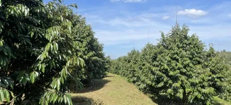 Sản phẩm z4890194947198917ee552a379c1d2b47af6ddfb5d55e4 6112 — Công Ty TNHH Phân Bón ORGANICS — MST 3603495439