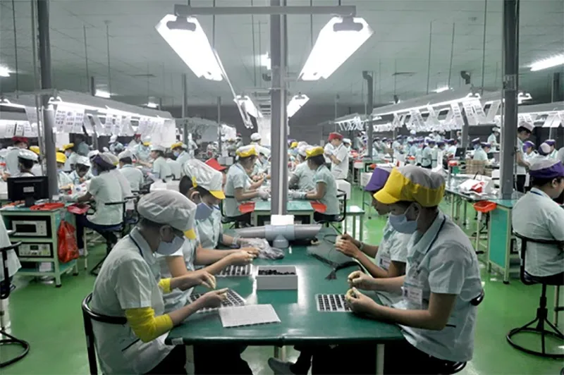 Nhà máy Công Ty Cổ Phần Phát Triển Nguồn Nhân Lực VIN HR #2 — MST 3603521921