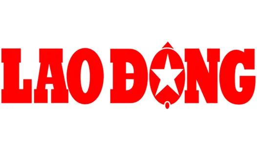 Sản phẩm Bao lao dong — Công Ty Cổ Phần Phát Triển Nguồn Nhân Lực VIN HR — MST 3603521921
