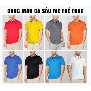 Sản phẩm ao phong co co the thao polo vai ca sau hang dep_6650126d04a6b 300x300 — Công Ty TNHH HP Safety — MST 3603526856