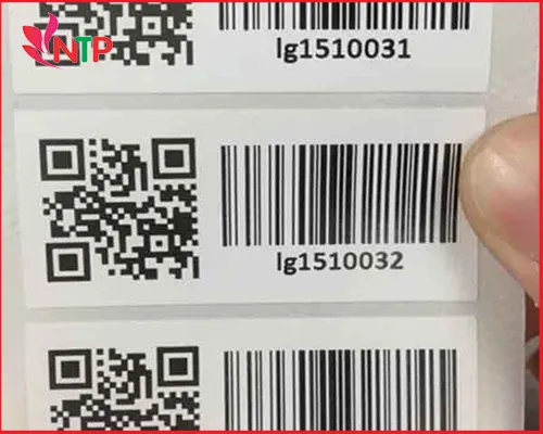 Sản phẩm barcode nekk (1) — Mác Dệt Ngọc Tấn Phát - Công Ty TNHH Thương Mại Dịch Vụ Và Sản Xuất Ngọc Tấn
Phát — MST 3603530450