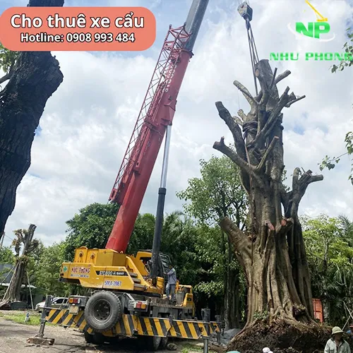 Sản phẩm Cho thue xe cau cay xanh — Cho Thuê Xe Cẩu Kato - Công Ty TNHH Xe Cẩu Như Phong — MST 3603531895