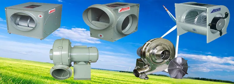 Sản phẩm 3868186284234420 — Công Ty TNHH Quang Dũng Phát — MST 3603567556