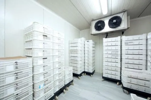 Sản phẩm thistlewood refrigeration cold room specialist — Công Ty TNHH Thương Mại Dịch Vụ Cơ Điện Lạnh Khôi Nguyên — MST 3603584015