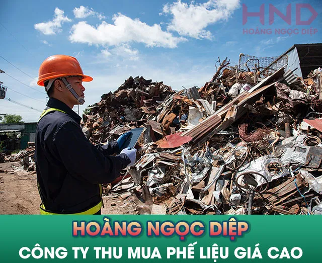 Sản phẩm tham dinh gia phe lieu tai hnd — Công Ty TNHH Xuất Nhập Khẩu Hoàng Ngọc Diệp — MST 3603593482