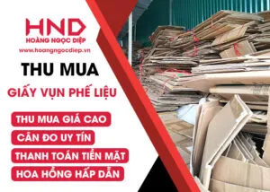 Sản phẩm thu mua giay vun 300x214 — Công Ty TNHH Xuất Nhập Khẩu Hoàng Ngọc Diệp — MST 3603593482