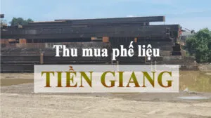 Sản phẩm thu mua phe lieu tai tien giang 300x168 — Công Ty TNHH Xuất Nhập Khẩu Hoàng Ngọc Diệp — MST 3603593482